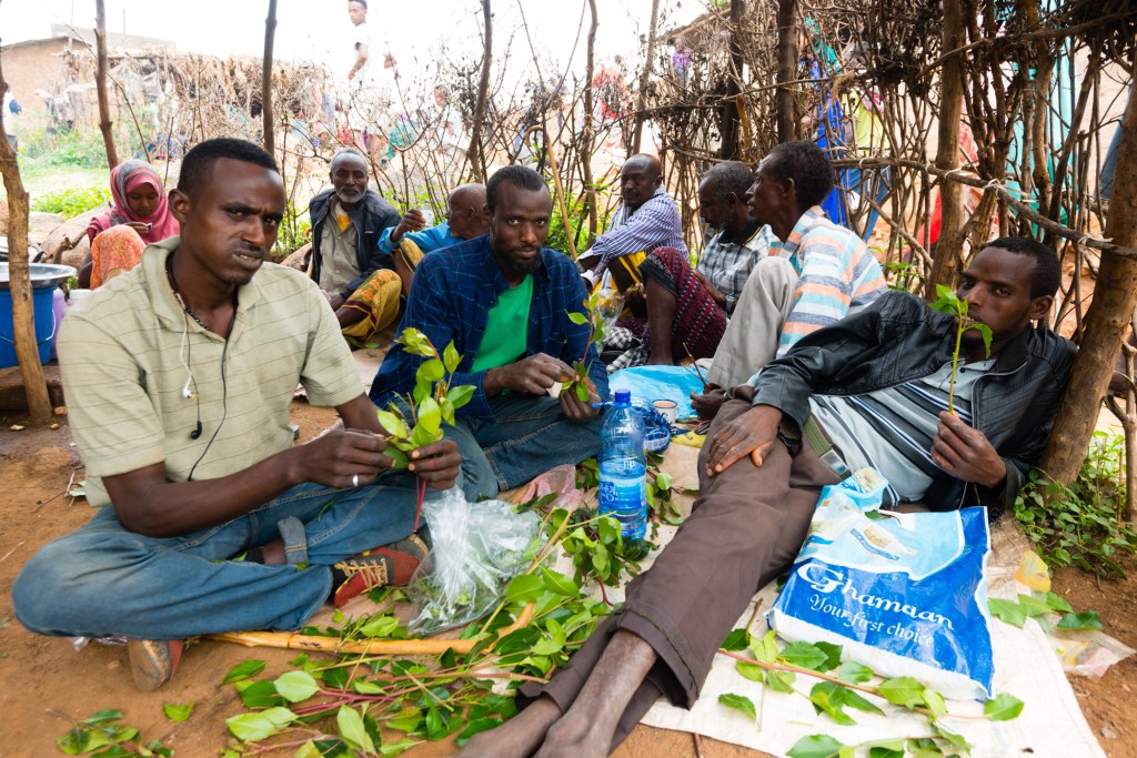 Harar Ethiopia Qat Austin Bush