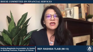 Rep. Rashida Tlaib schools CEOs of some of the world's largest banks on environmental racism at a recent House Committee hearing