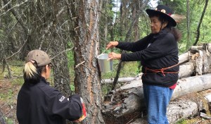 Minnie Kenora, 83, harvests maple syrup with her friend on her traditional lands in B.C. Photo supplied​