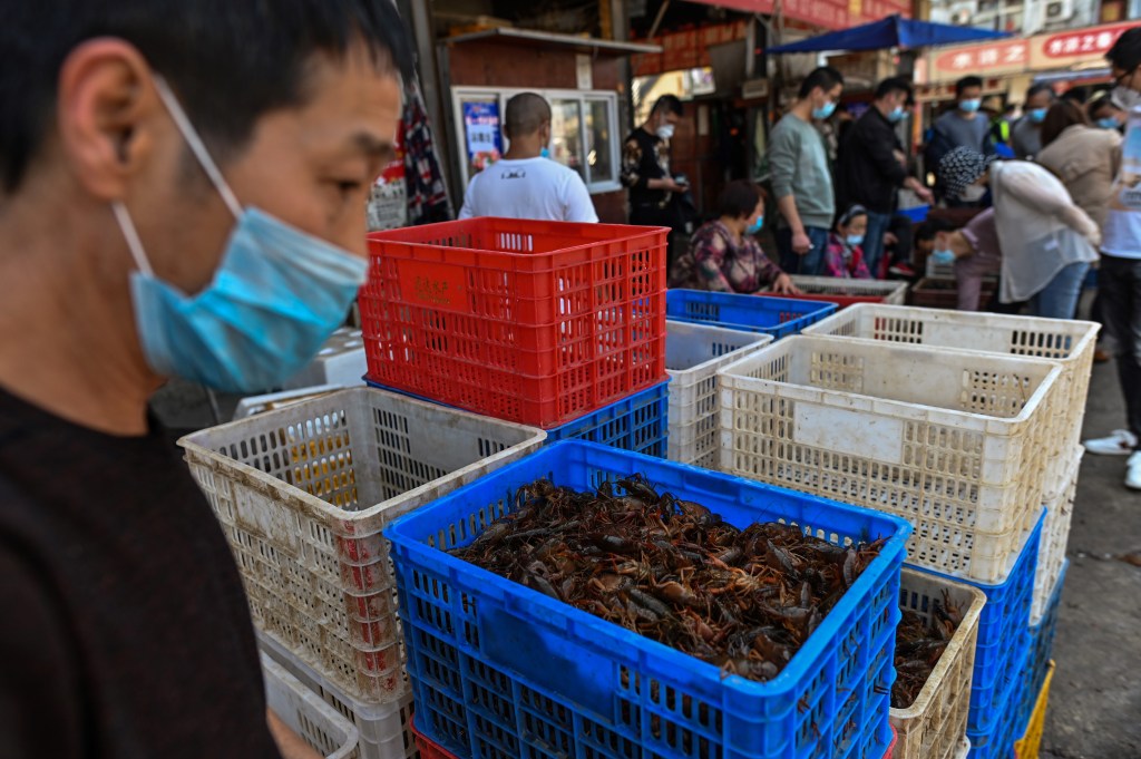 Pasar hewan liar Wuhan