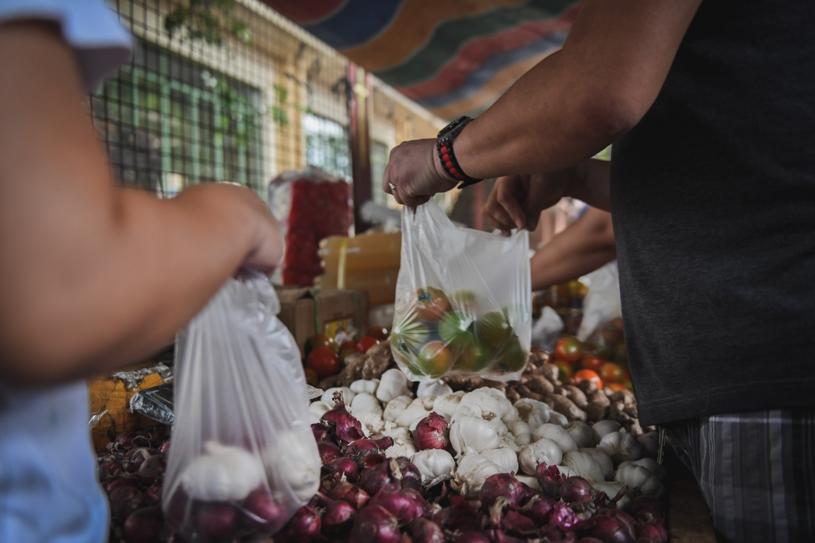 sustainability efforts in the philippines