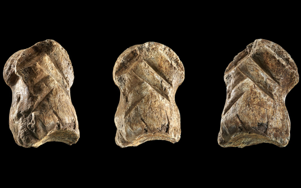 The extraordinary bone is carved with chevron designs, and was crafted before Neanderthals in the region made contact with our own human ancestors.