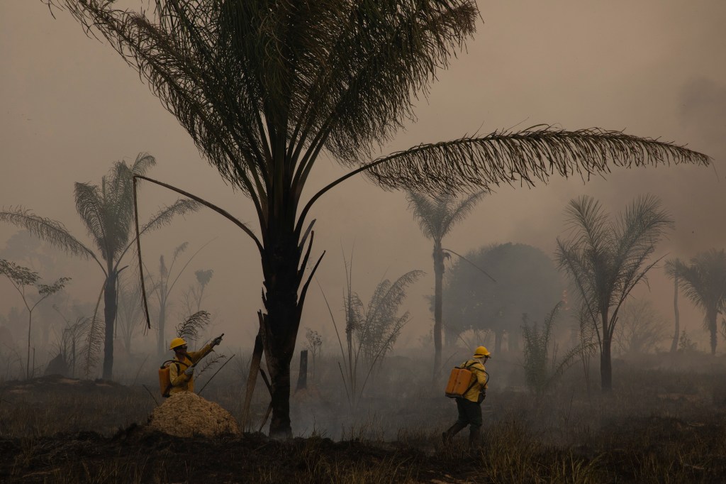 This Is Bad: A Swath of the Amazon Is Now Actually Harming the Planet