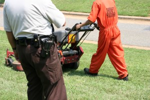 ​A prisoner mowing a lawn for community service.