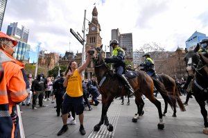 Sydney horse protest