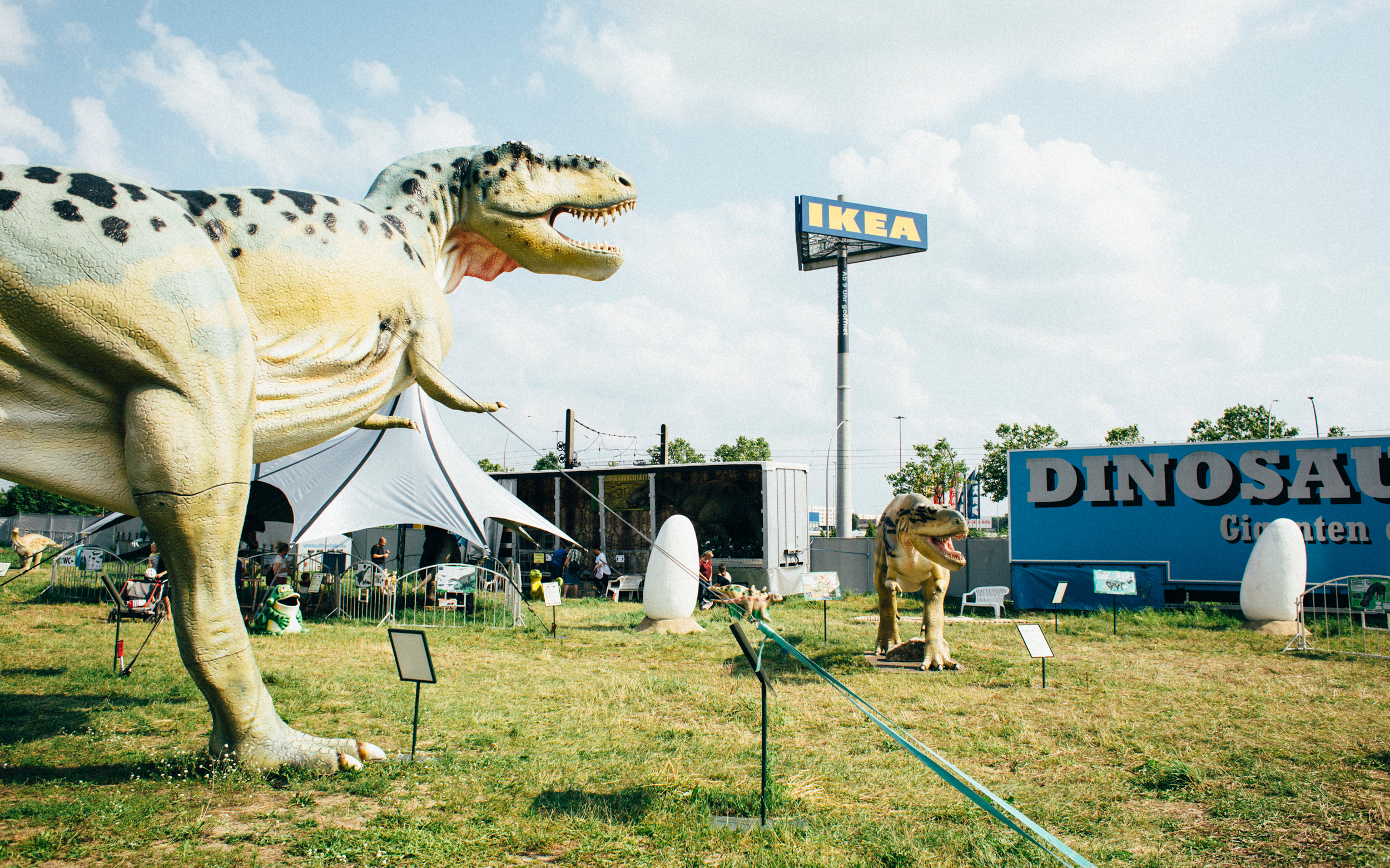 Ein Foto von der Ausstellung Dinosaurier im Reich der Urzeit mit zwei Tyrannosaurus Rex'