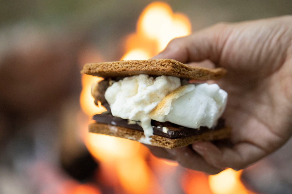 smores-ice-cream-sandwich-recipe