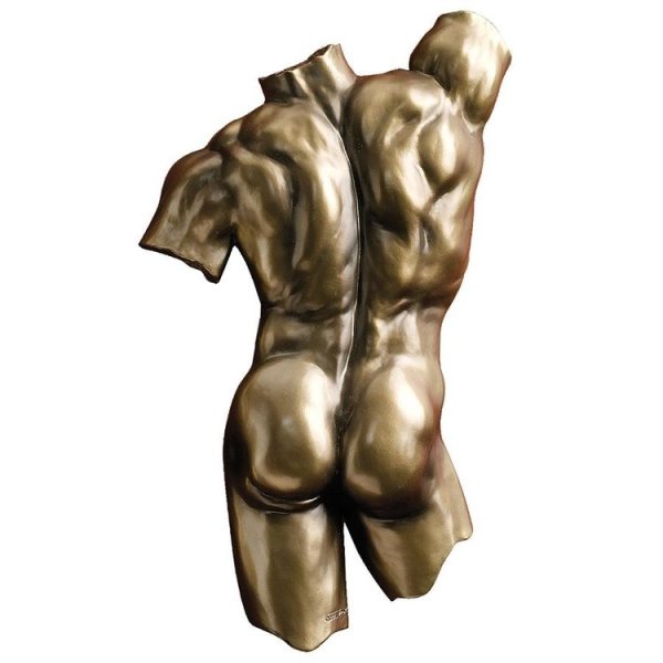 Anatomical Decipher Nude Torso Wall Sculptures by Kaleb Marytn