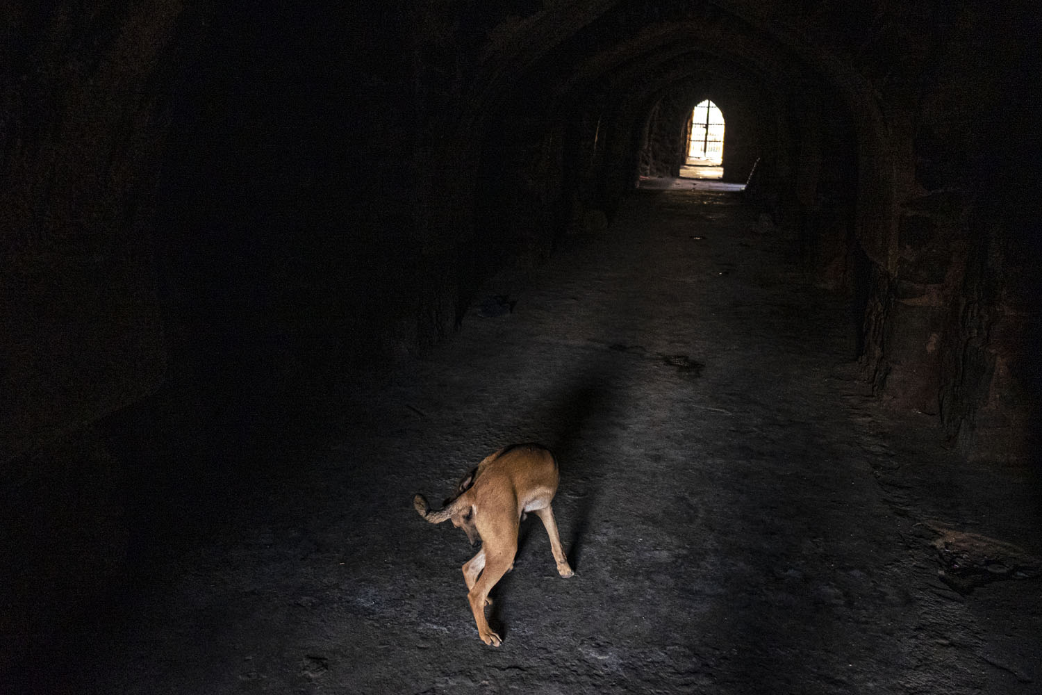 feroz shah kotla fortress delhi india