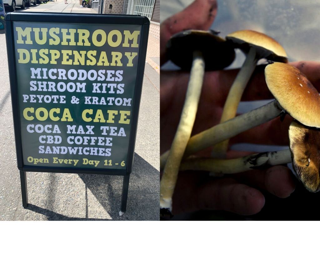 Sign for the Coca Leaf Cafe & Mushroom Dispensary