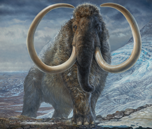 Researchers found the mammoth walked a distance equal to nearly twice the circumference of Earth using isotopes of strontium and oxygen.