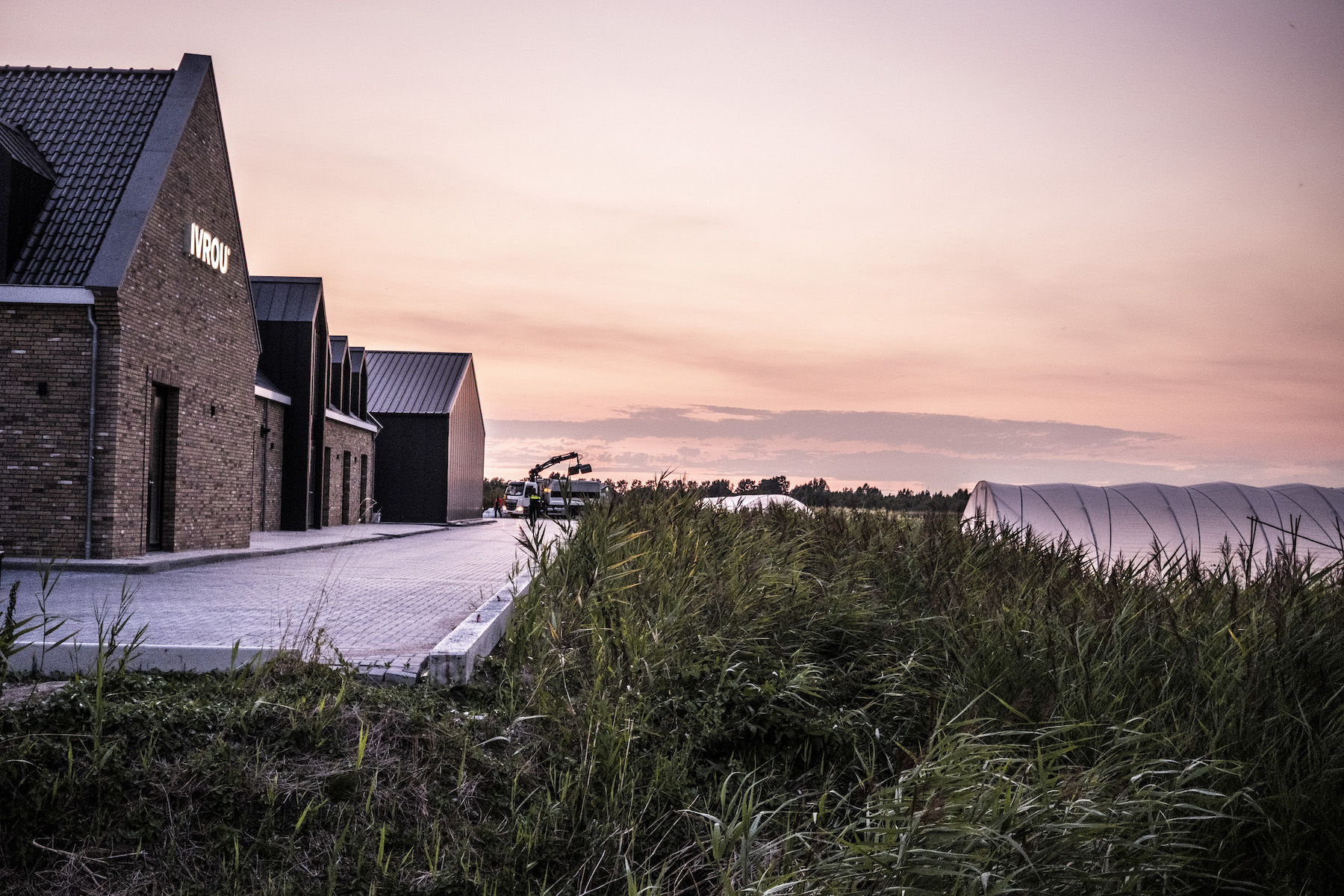 Polder zonsondergang. Foto Roos Pierson