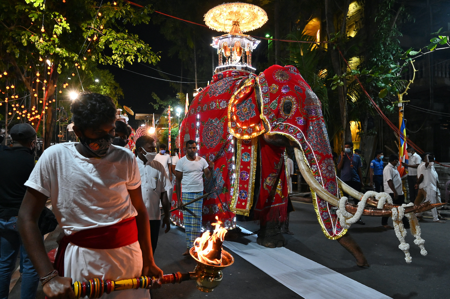 sri lanka, elephant, animal cruelty, south asia