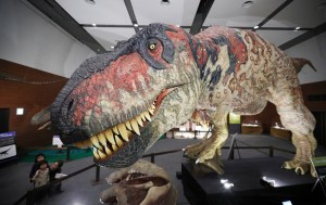 T. Rex, dinosaur, Tyrannosaurus rex, CT scan, research, science, japan