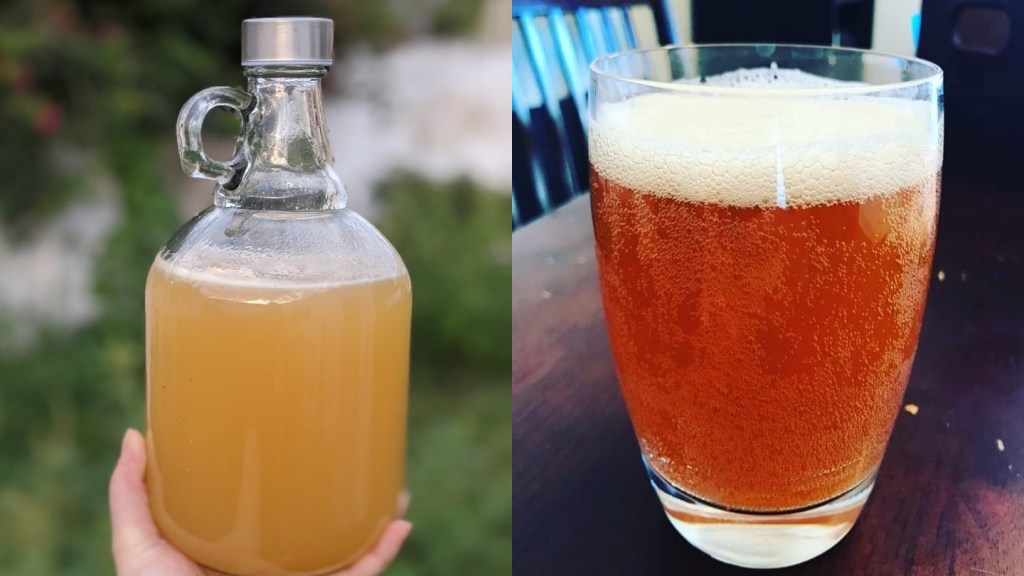 Florencia Juárez - Two images of beer placed side by side, image on right is of a cloudy orange liquid in a cylindrical jug, image on right is fizzy orange liquid in a tumbler.