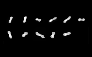 The asteroid Kleopatra and its two moons have resisted explanation for more than a decade—until now.