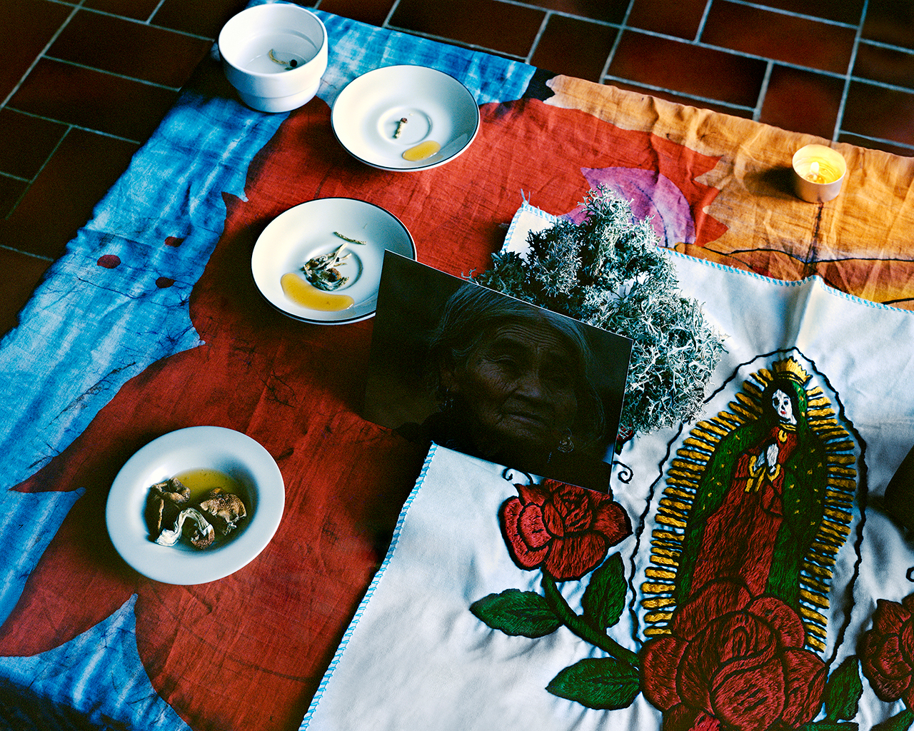 Mathias de Lattre, France, magic mushrooms - Three white plates and a small white bowl laid on top of an ornate red, white, blue, and orange tapestry.