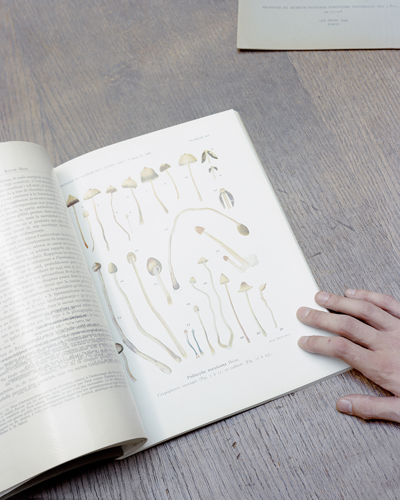 Mathias de Lattre, France, magic mushrooms - book containing drawings of mushrooms held open by caucasian hand on a grey table.