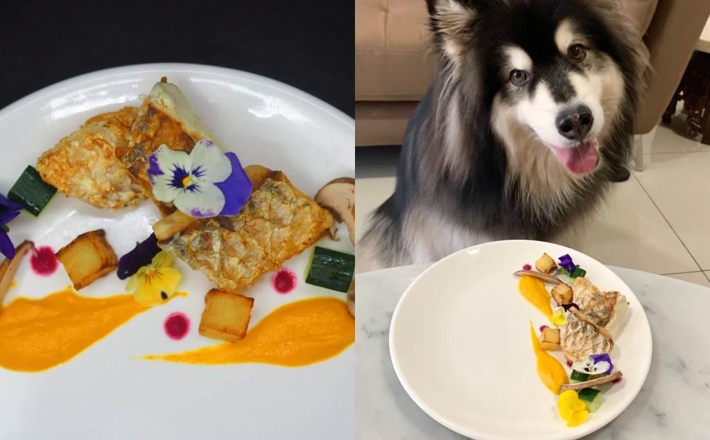 Shirleen Cheok, founder of pawdning.my, creates fine dining gourmet food for dogs in Malaysia