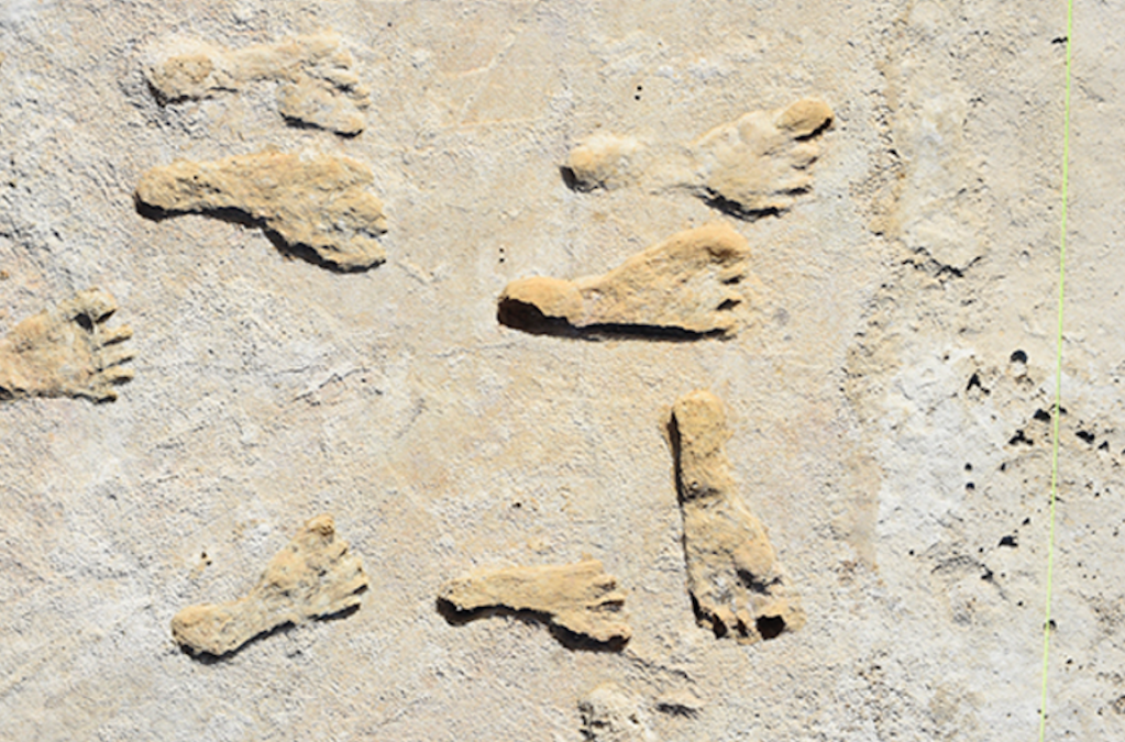 The 23,000-year-old "ghost tracks" were primarily made by children and teenagers who were doing work for elders or just hanging around.