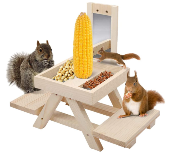 squirrel patio feeder