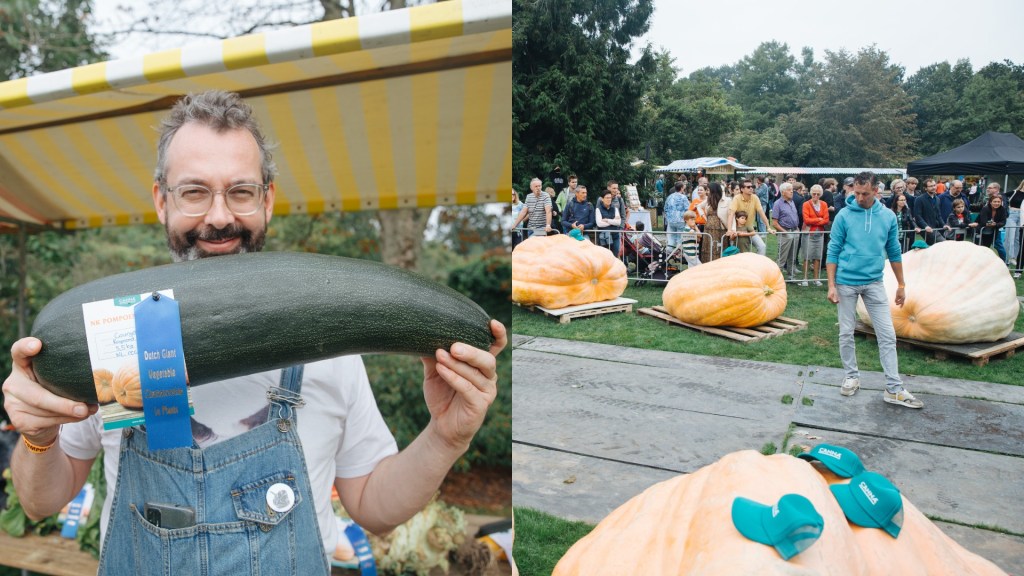 Raymond van Mil, Netherlands, pumpkins - diptych: image on left is a bearded man in glasses holding a courgette up to the camera, image on the right is a man in a turquoise hooded top stood in front of three giant, orange pumpkins.