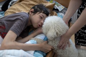 chronisch zieke jongen met hond, leucemie