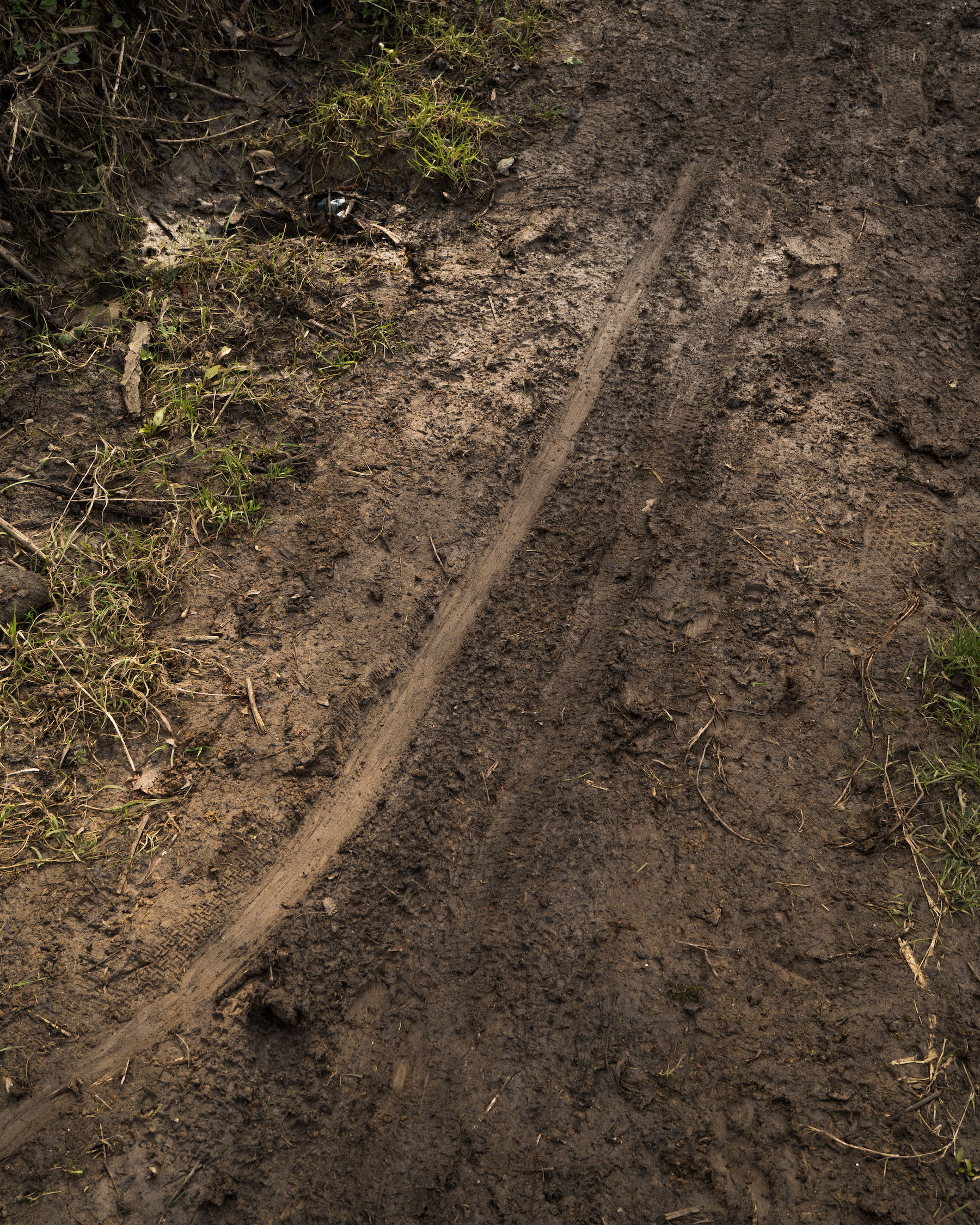 Tracks in the mud.