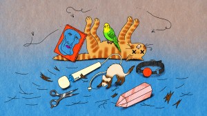 @WorstOfQueeExchange: Dead cat, used sex toy, ferret on the loose, crystal, hair, and a weird painting