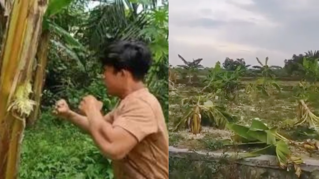 Tren 'Salam dari Binjai' Ditiru Gerombolan Bocah