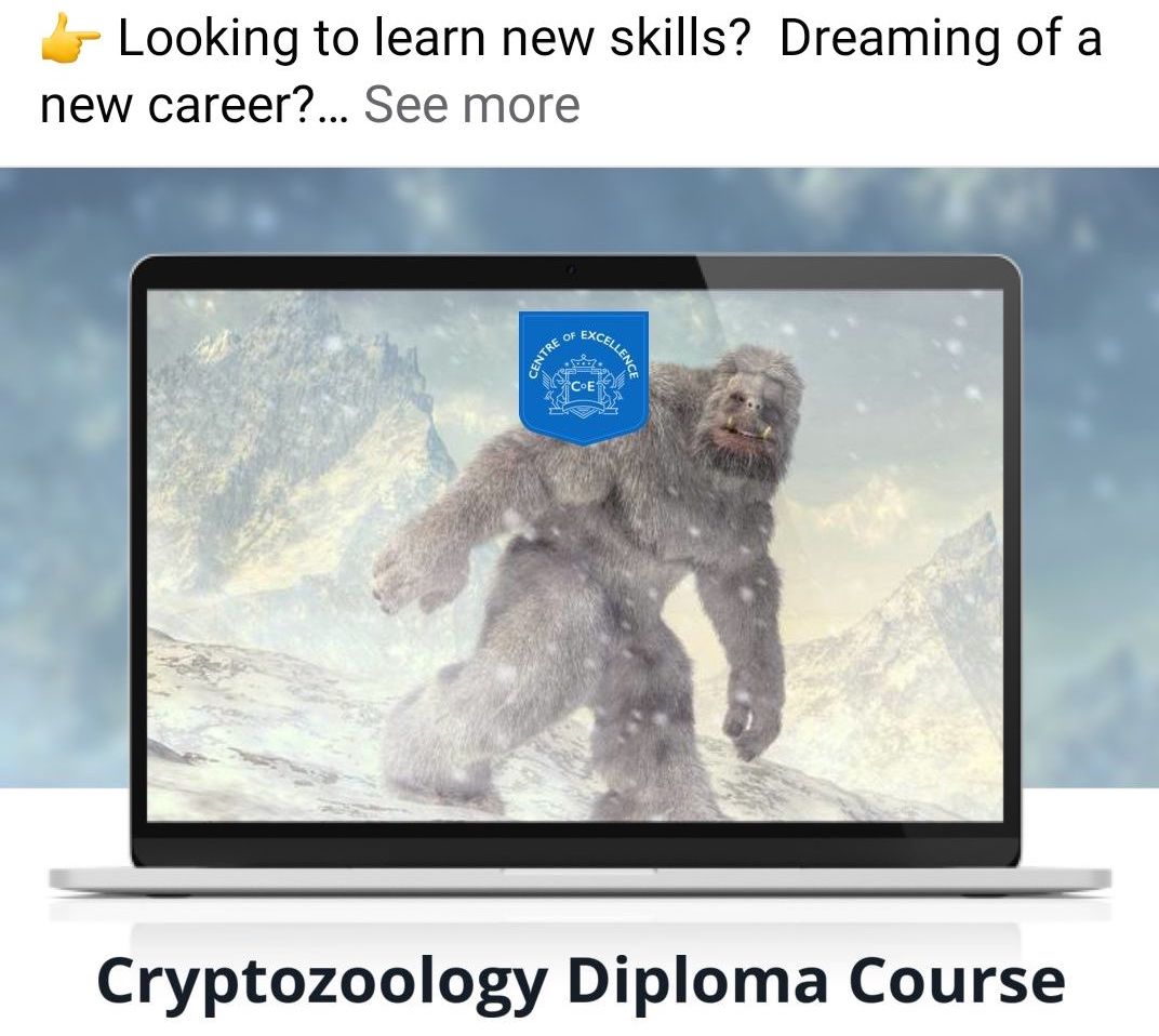 The Centre For Excellence's dodgy Facebook ad shows a white-furred yeti walking in the snow.