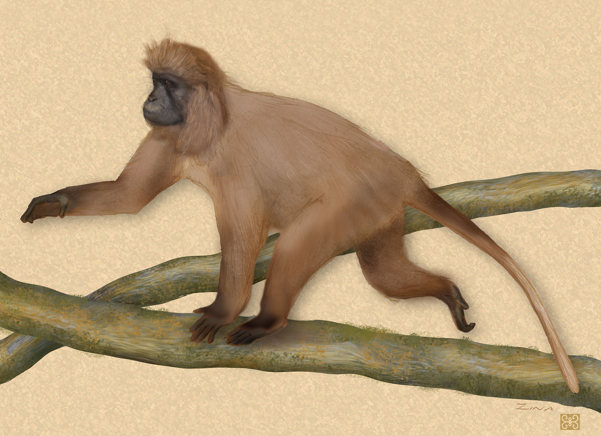 An illustration of a brown-furred Kipunji climbing the branch of a tree.