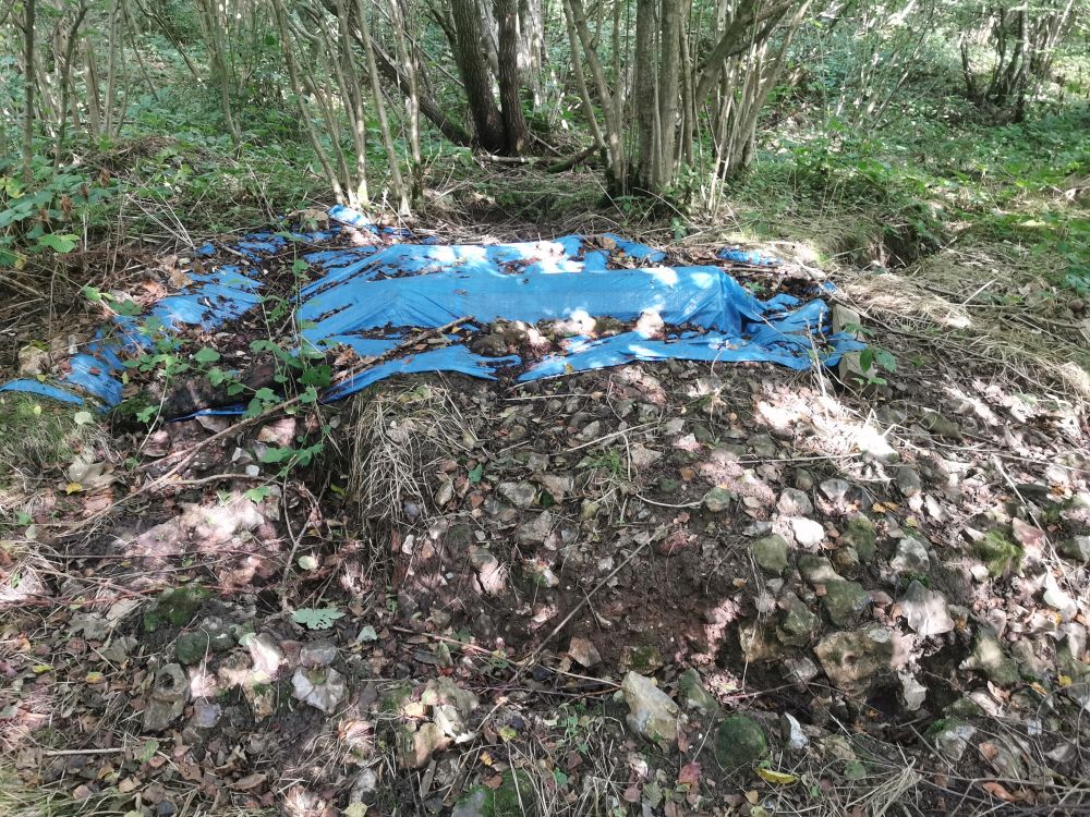 A ruined blue camping tarp sits on the forest floor.