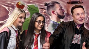 Collage of Harry Potter fans, Kermit the Frog gif, a man bun and Elon Musk against a rose gold backdrop