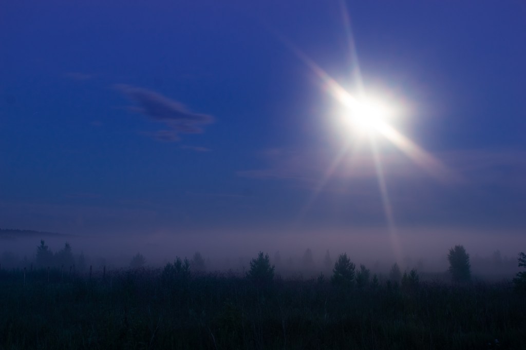 An unidentified flying object above a forest on a foggy night.