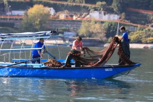 Pesce lago garda pesca