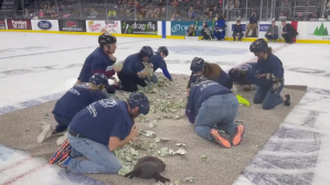 Untitled designScreenshot of viral video showing teachers in Sioux Falls, South Dakota participating in a competition at a local ice rink. (Twitter @AnnieTodd96)