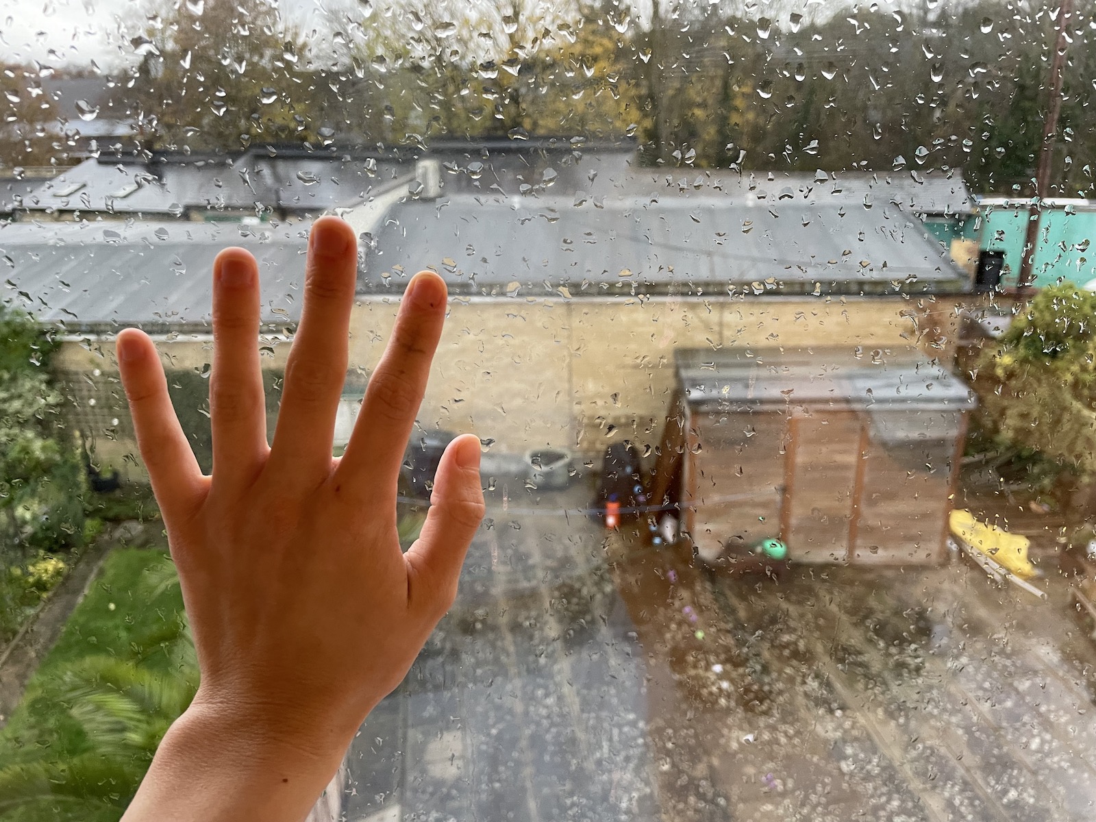 A hand pressed against the window