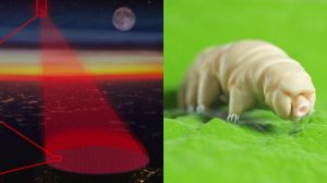 Scientists Want to Send Tardigrades to Distant Stars With Massive Lasers