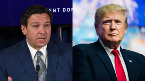 Ron DeSantis and Donald Trump (SAUL LOEB/AFP via Getty Images // Brandon Bell/Getty Images)