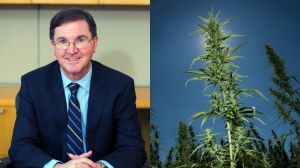 A Q&A With the Scientist Who Discovered Cannabis Can Prevent COVID-19