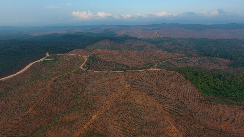 Ibu Kota Baru di Kalimantan Timur Bakal Dinamai ‘Nusantara’, Sesuai Pilihan Jokowi