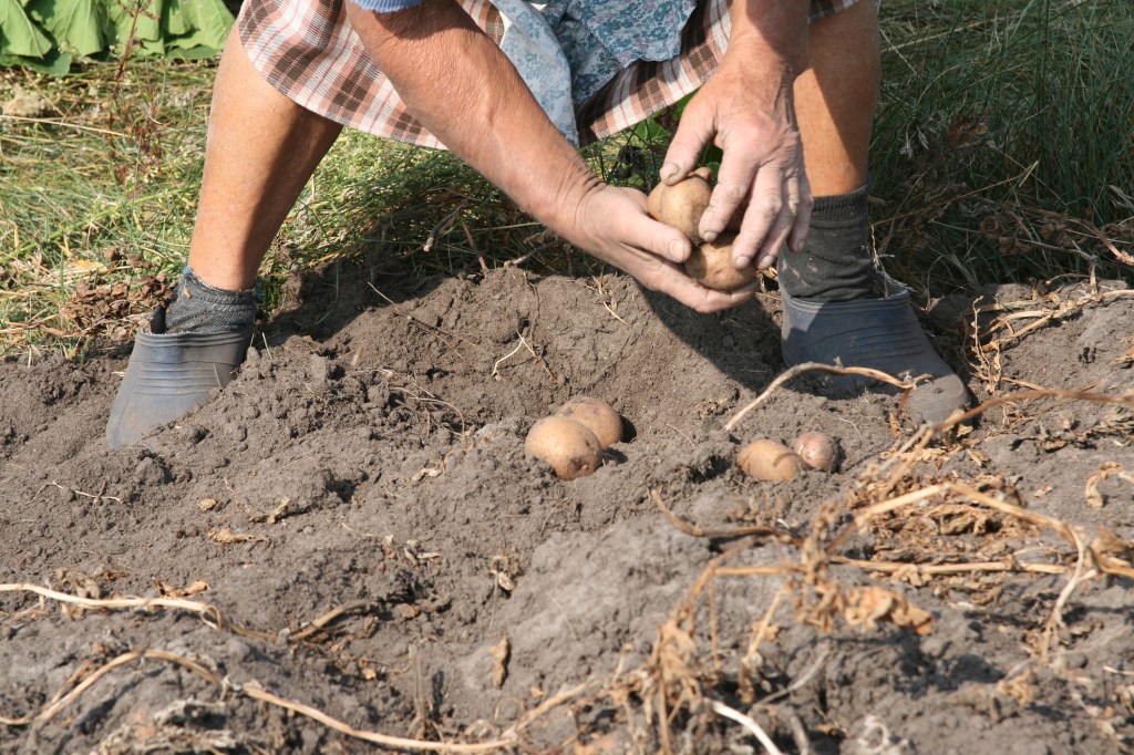 According to the indictment, seasonal agricultural workers at a South Carolina farm had their passports confiscated to keep them from fleeing. ​