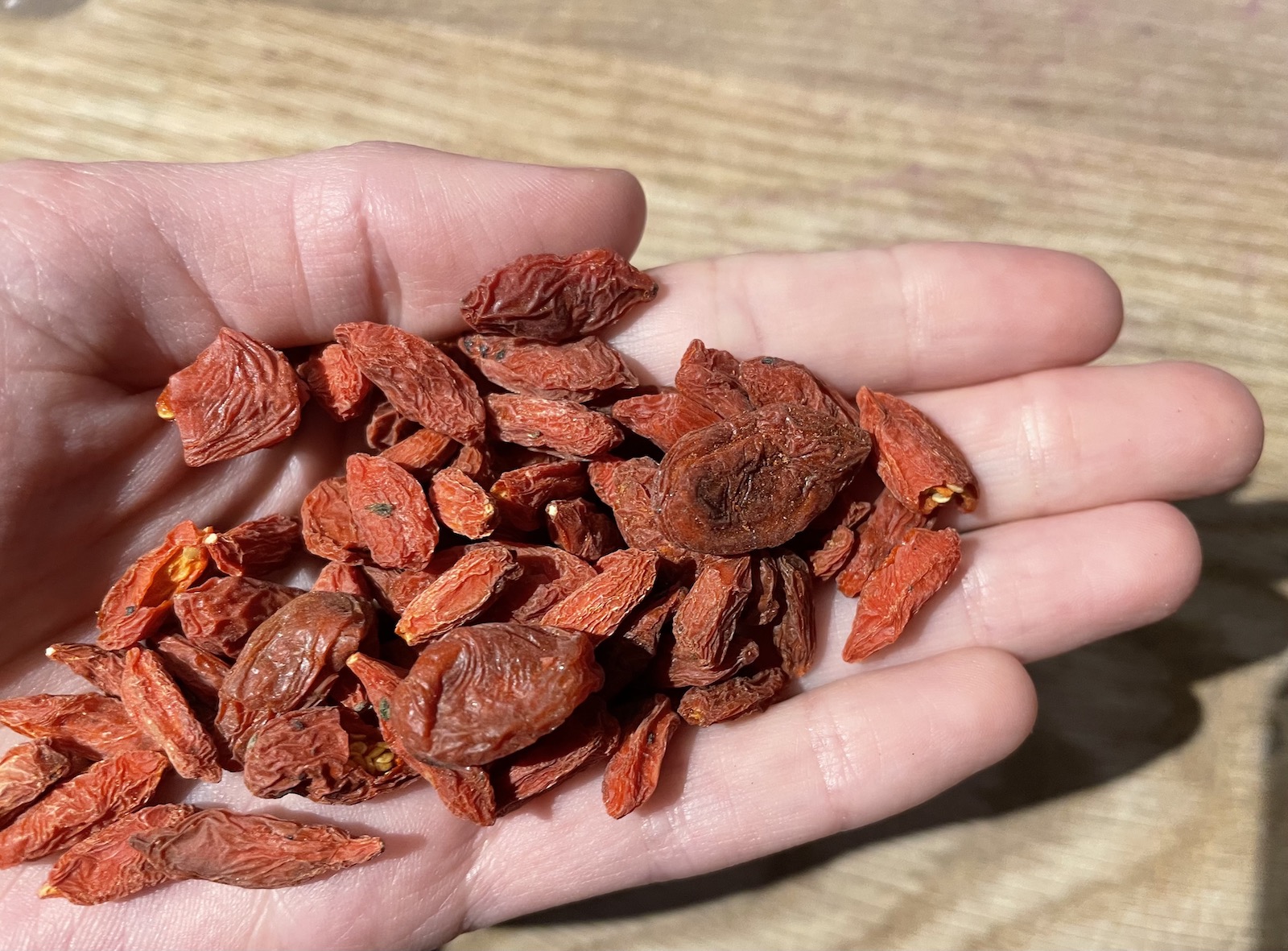 A hand full of goji berries, a supposed aphrodisiac