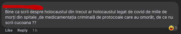 comentarii romani holocaust, comentarii absurde romani internet