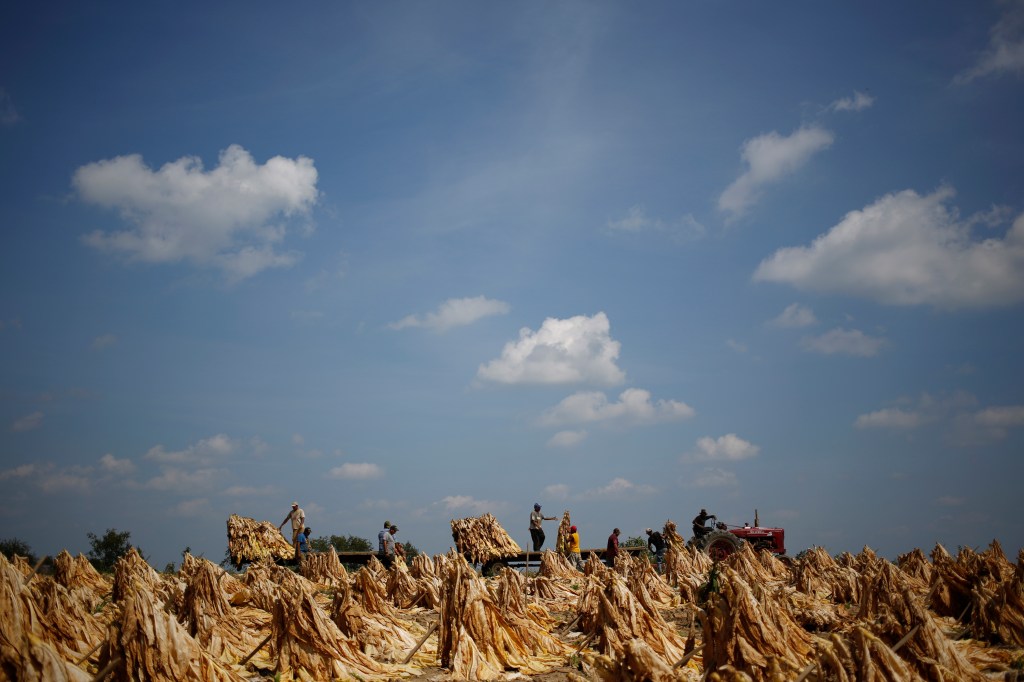 modern-day-slavery-operation-blooming-onion-h2a-visa