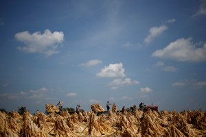 modern-day-slavery-operation-blooming-onion-h2a-visa