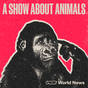 A_Show_About_Animals_Cover