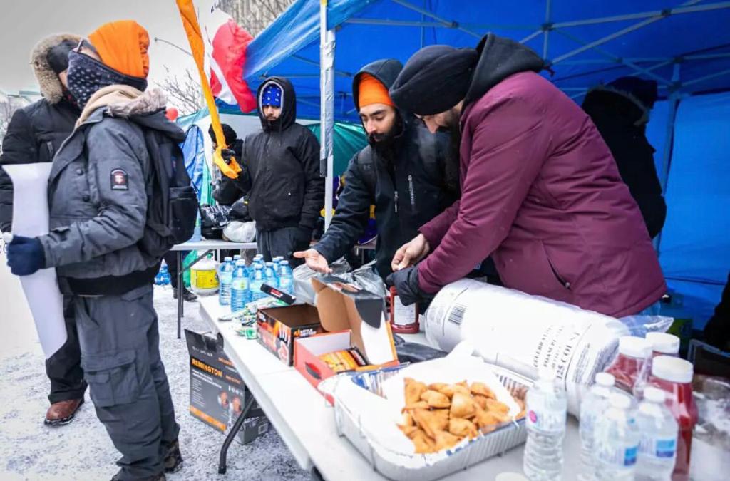 freedom convoy, sikh, south asia, alt right, anti-vaxxers, protest