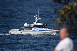 sydney shark attack